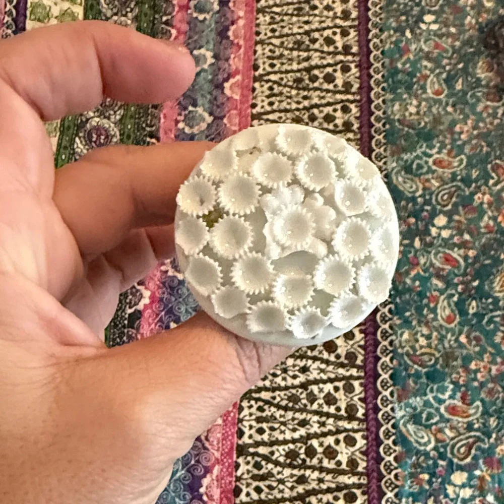 Elegant Floral White Vase